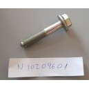 n10209601 screw genuine vag  N10209605