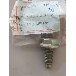 N10257501 screw genuine 
