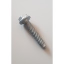 N10516702 genuine screw N10516701